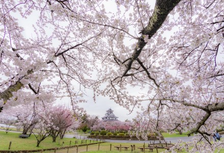 豊公園・長浜城歴史博物館