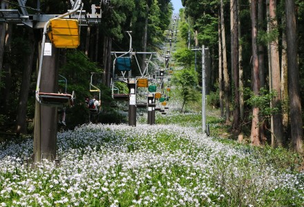 賤ヶ岳（しずがたけ）